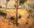 Bäume auf einem Gebiet an einem sonnigen Tag Vincent van Gogh